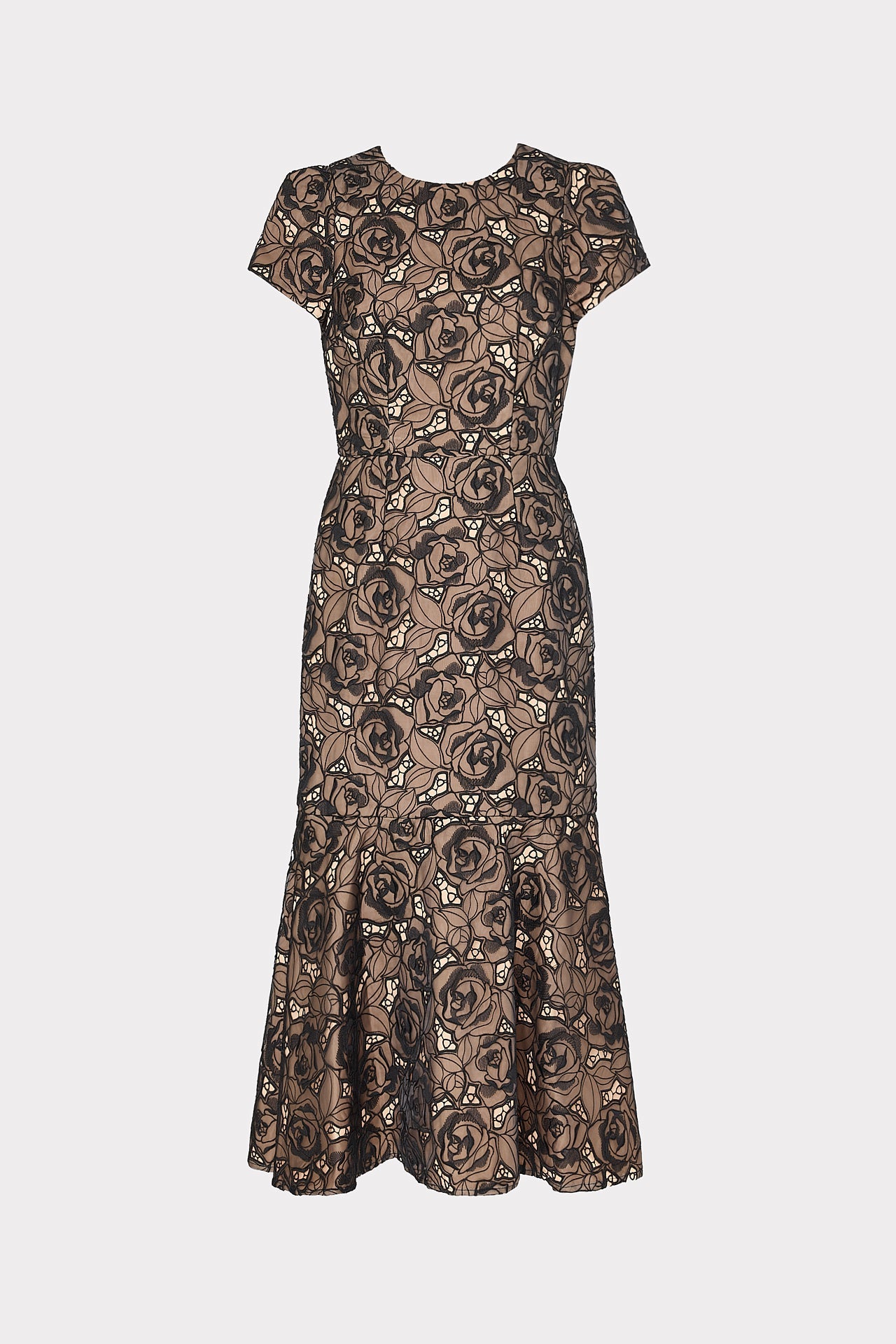 Tahlia Rose Mesh Embroidered Dress - Black