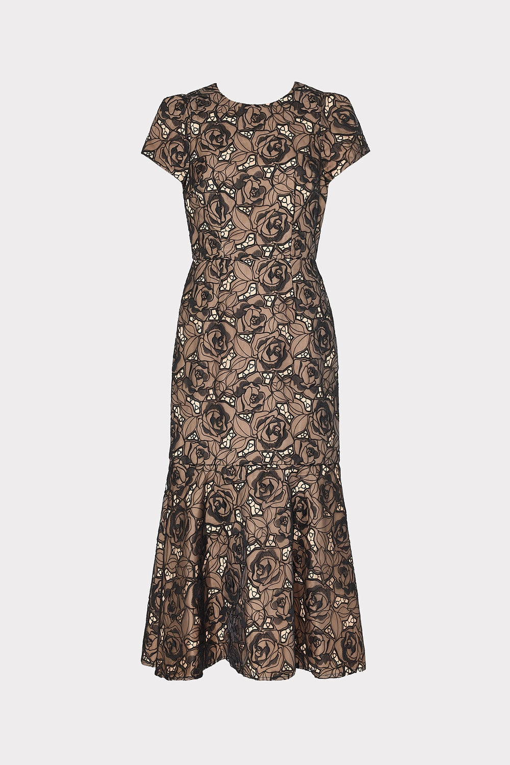 Tahlia Rose Mesh Embroidered Dress - Black