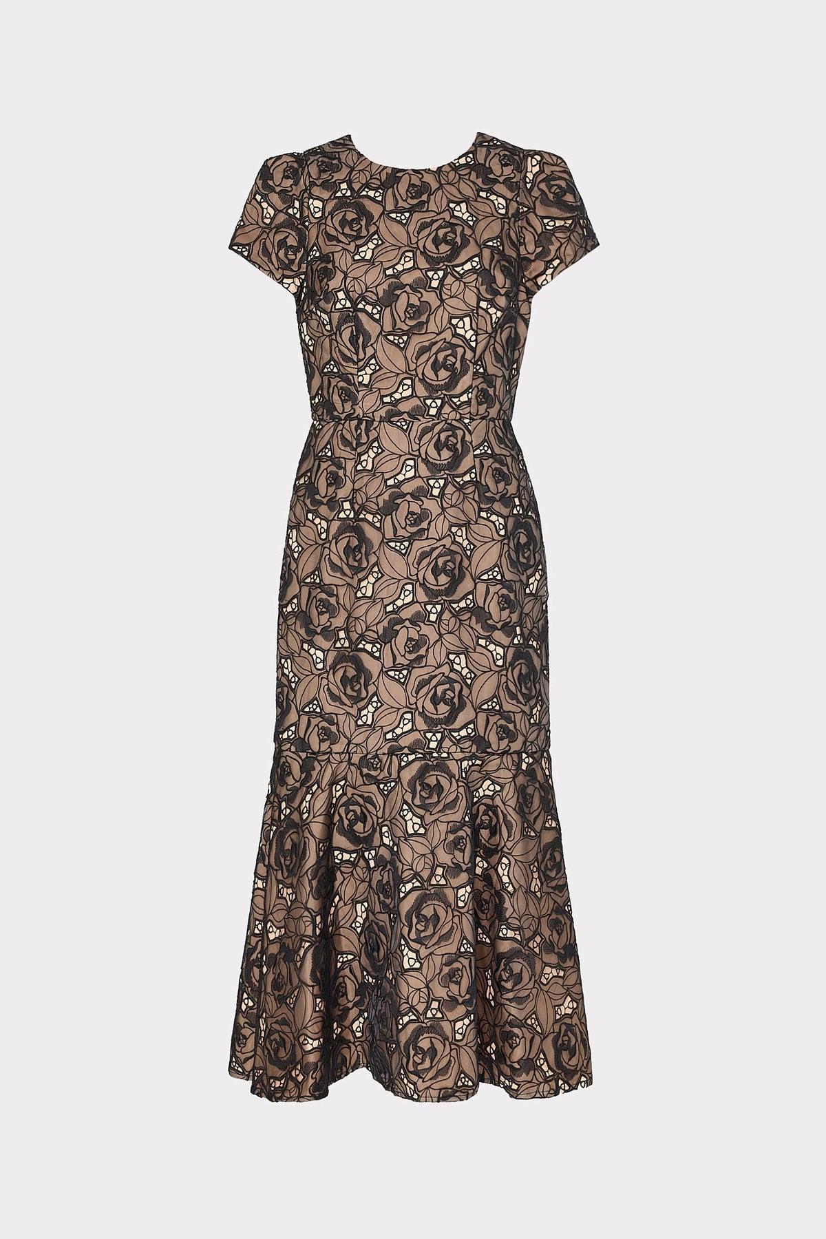 Tahlia Rose Mesh Embroidered Dress - Black