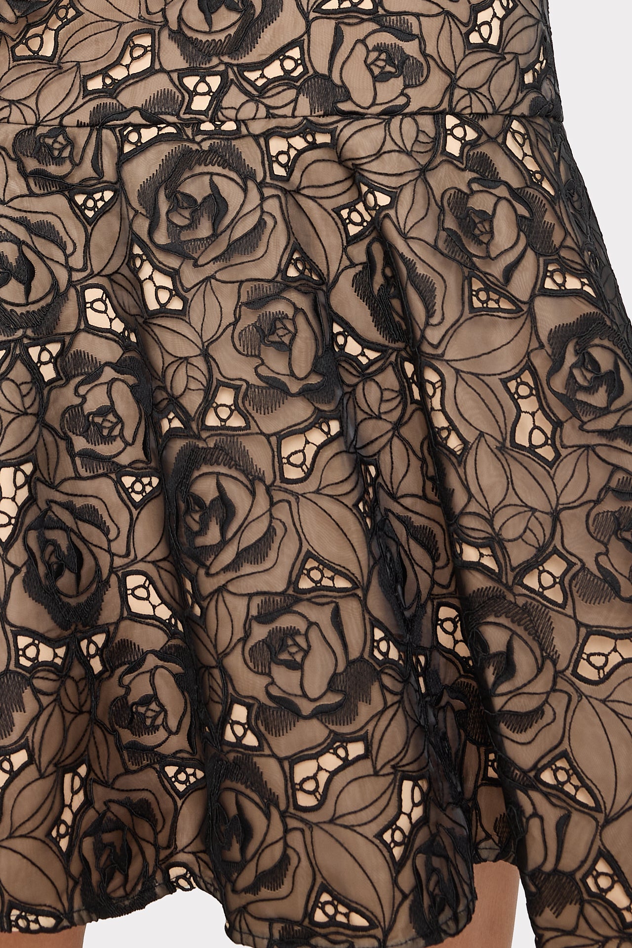 Tahlia Rose Mesh Embroidered Dress - Black
