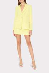 Lizzy Cady Mini Skirt - Yellow