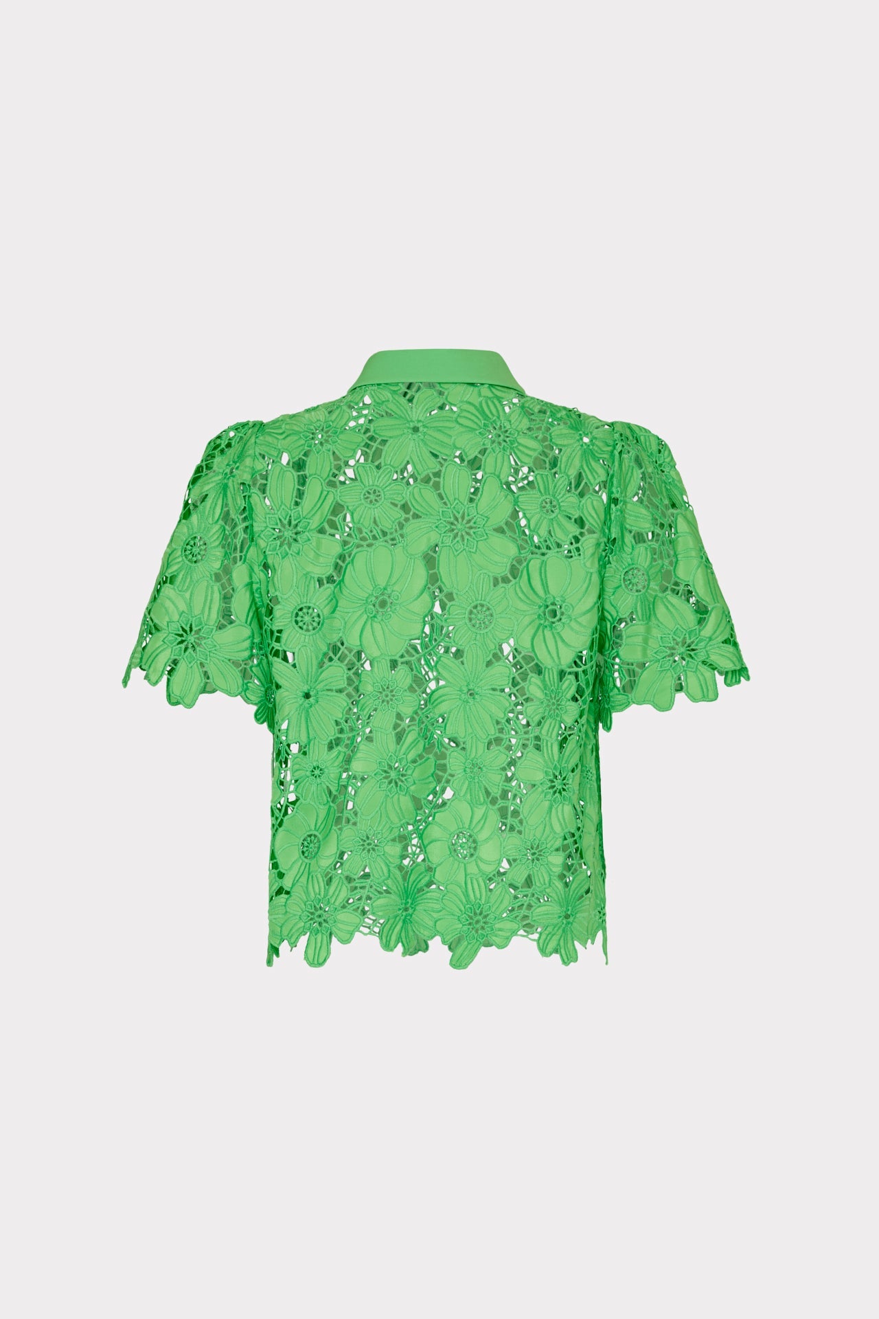 Addison Roja Lace Top - Green