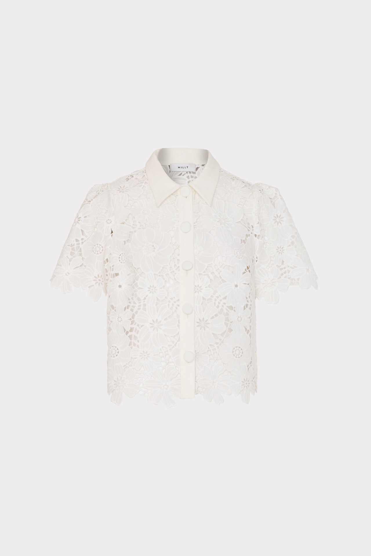 Addison Roja Lace Top - White