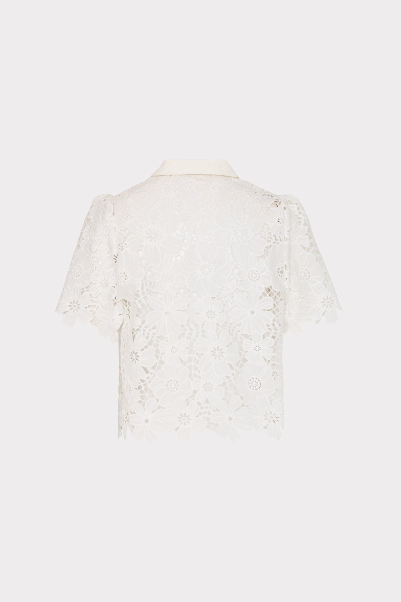 Addison Roja Lace Top - White