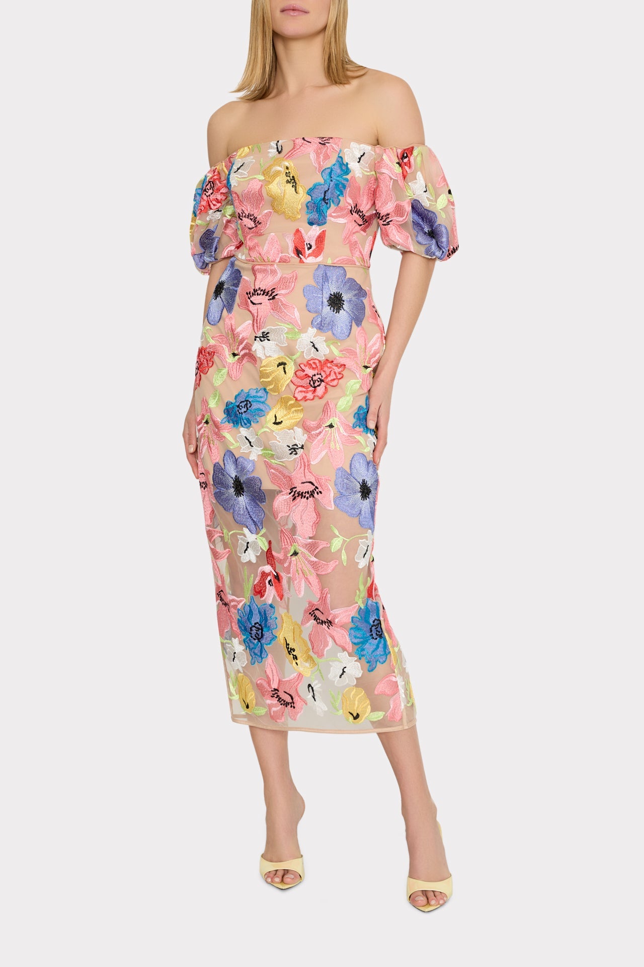 Nira Lily Floral Embroidered Midi Dress - Multi