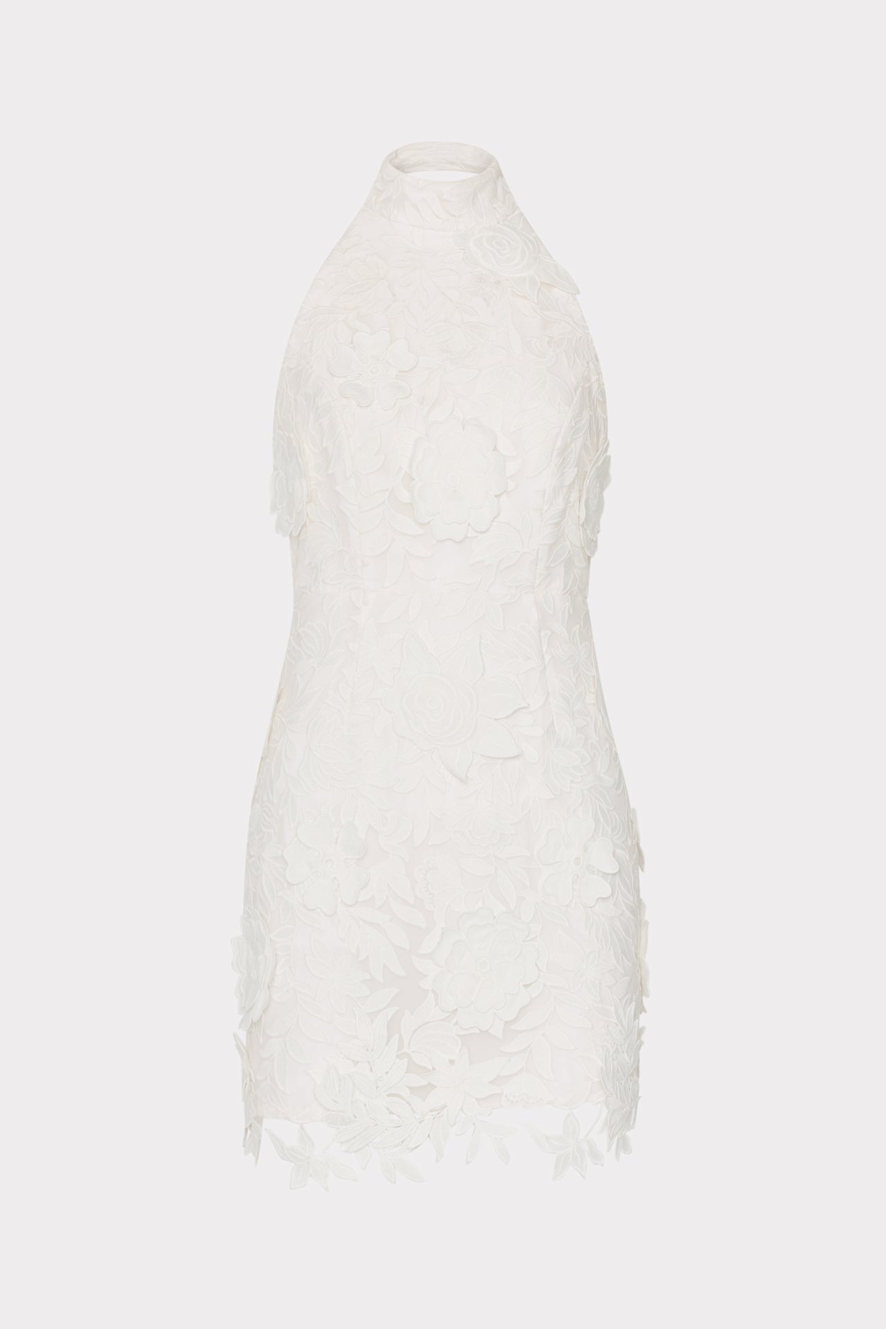 Olivia Rose Trellis Lace Mini Dress - White