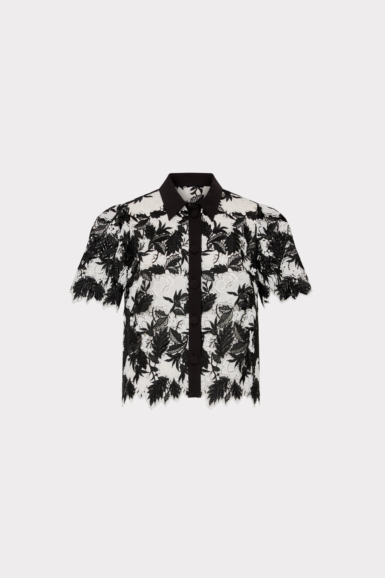 Addison Two Tone Lace Top - Black/White