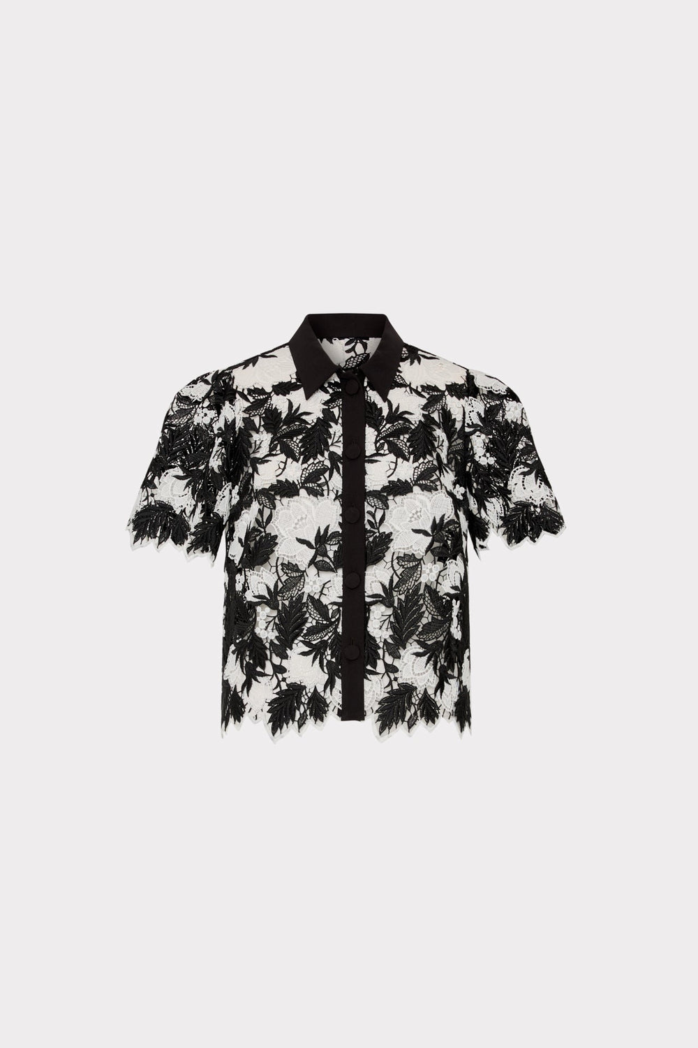 Addison Two Tone Lace Top - Black/White