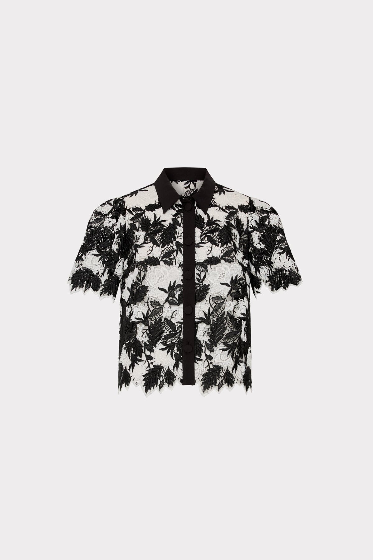 Addison Two Tone Lace Top - Black/White