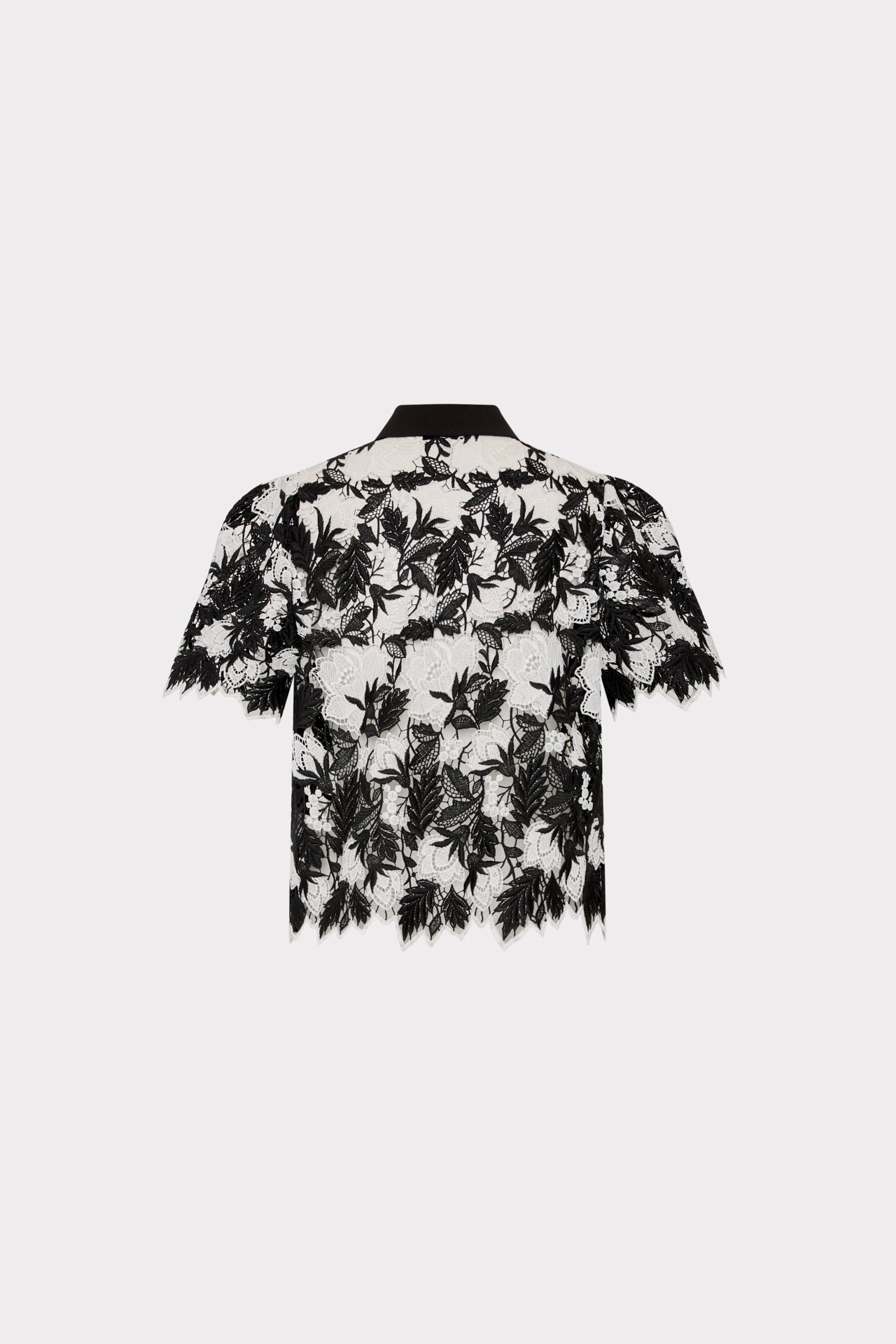 Addison Two Tone Lace Top - Black/White