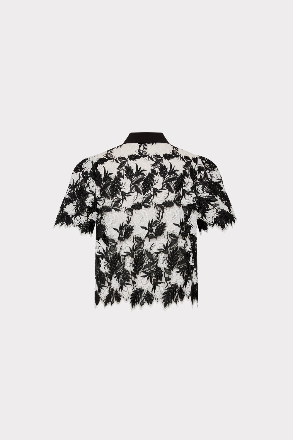 Addison Two Tone Lace Top - Black/White